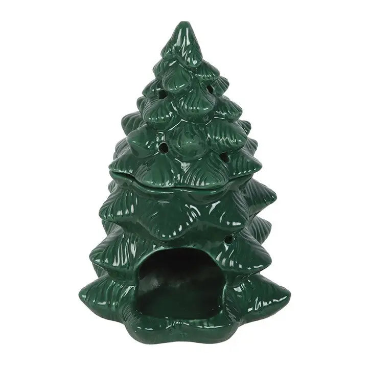 Green Winter Fir Tree