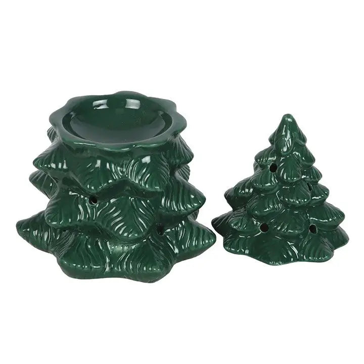 Green Winter Fir Tree