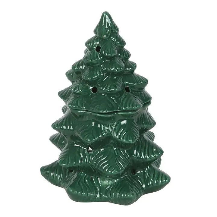 Green Winter Fir Tree