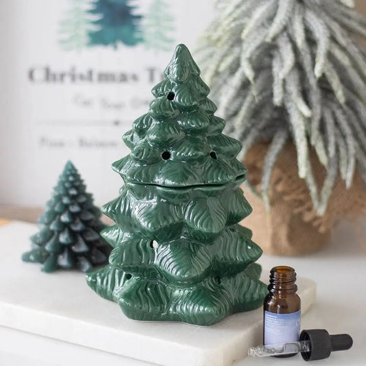 Green Winter Fir Tree