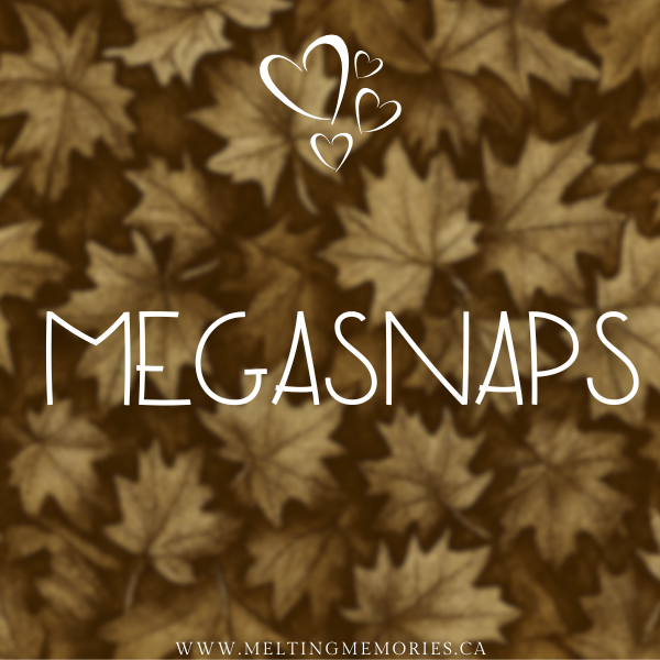 megasnaps 6oz