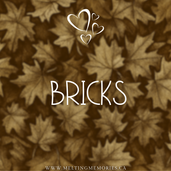 bricks 12oz
